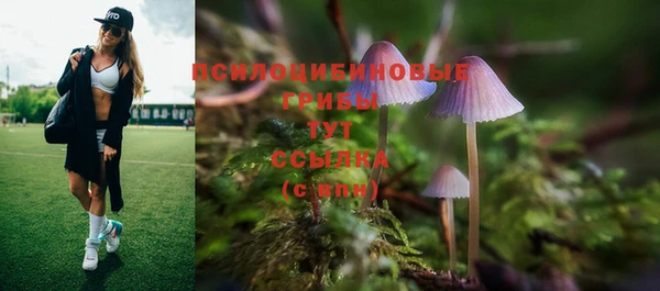 твердый Лабытнанги