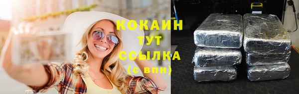 твердый Лабытнанги