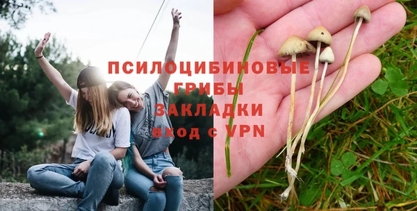 экстази Ладушкин