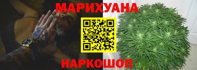 сатива Гагарин
