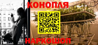 сатива Гагарин