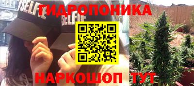 гидропоника Гатчина