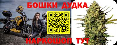сатива Гагарин